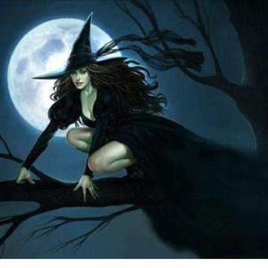 Meet your Posher, Yen